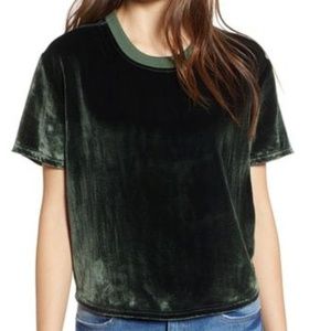 Hudson Velvet Crop Tee in Forrester Green Small